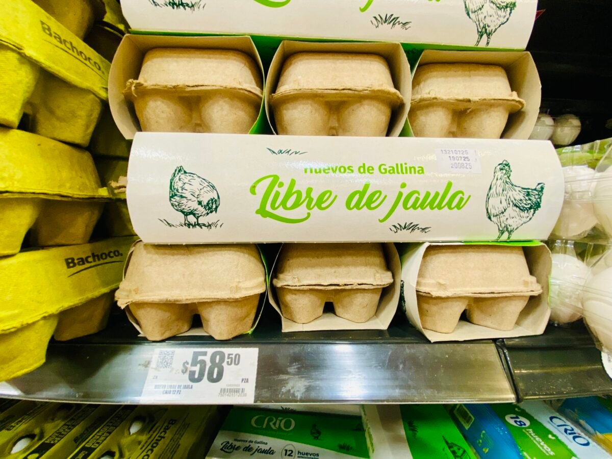 Free range eggs — huevos libre de jaula — on the shelf of a grocery store in Mérida, Mexico