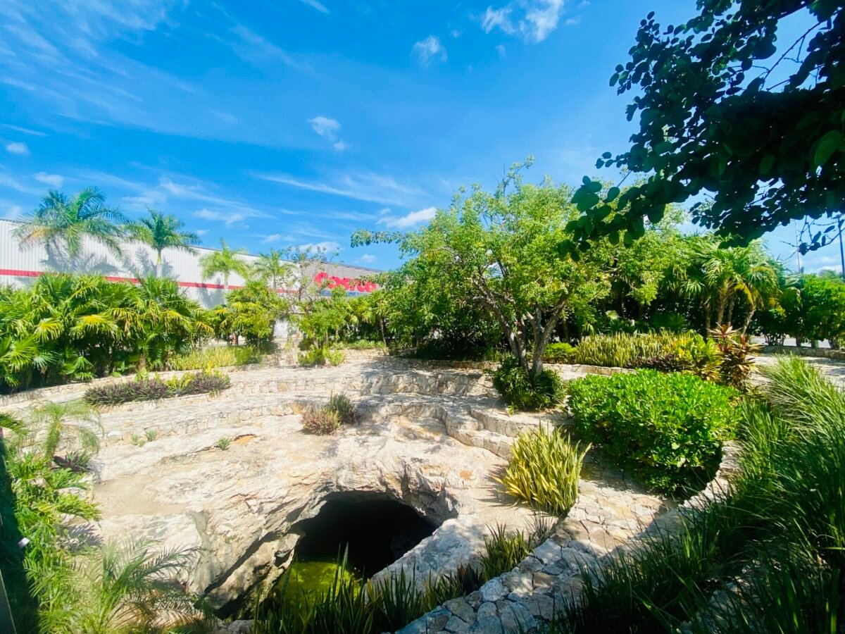 Cenote in the parking lot of Costco in Merida Yucatan Mexico