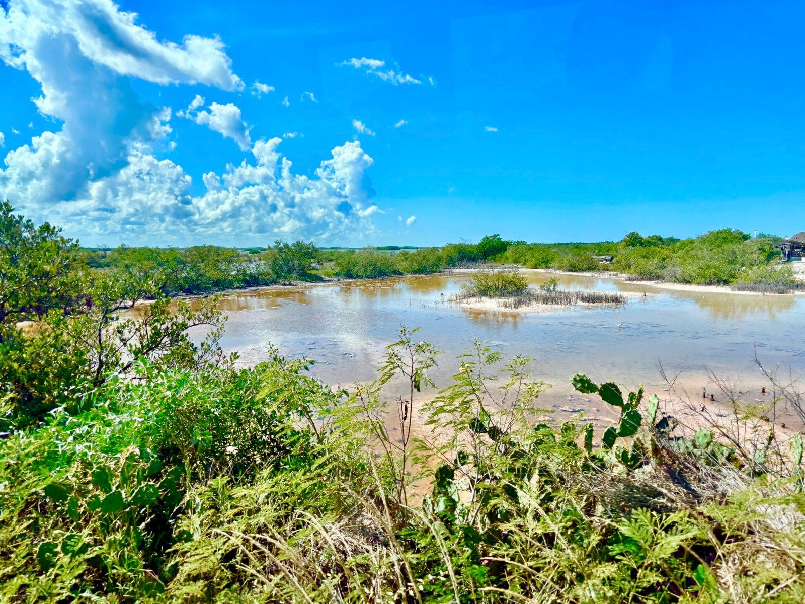 Merida weather with blue skies, few clouds over a lagoon with vegetation Merida Yucatan