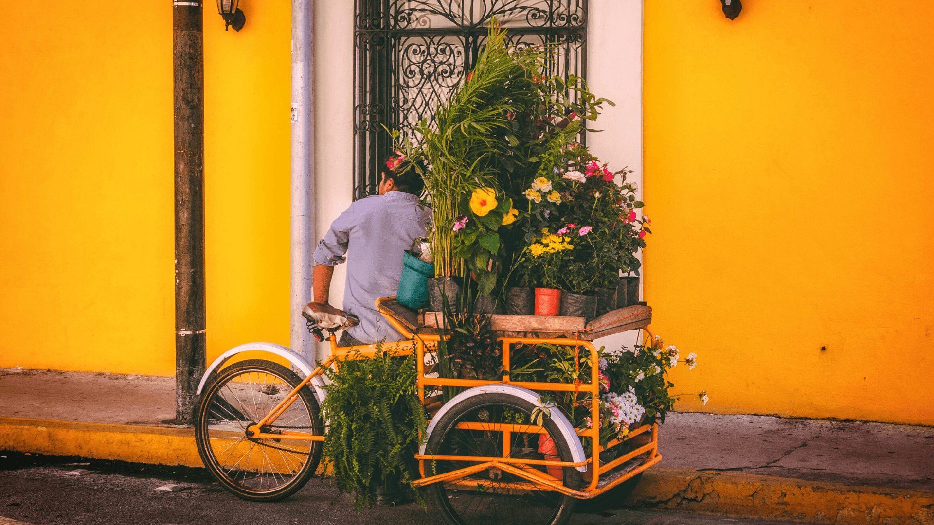 plant and flower vendor on a tricycle in front of a yellow house