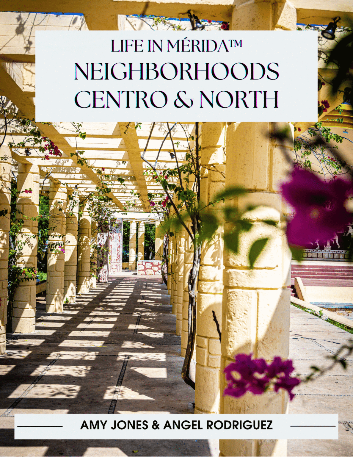 Merida Neighborhoods - Life in Mérida™